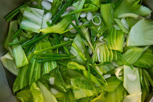 chuyên đề dưa muối ngày tết - huongnghiepaau khóa học làm dưa muối ngày tết