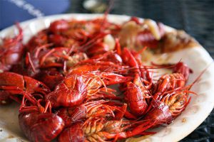 khóa học làm tôm hùm đất