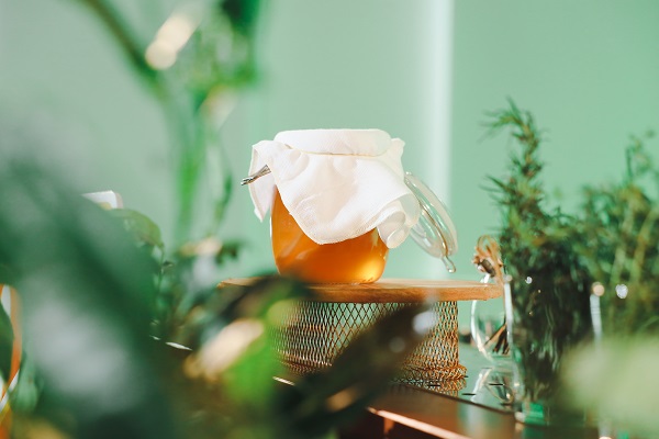 hoc-lam-tra-kombucha học làm trà kombucha