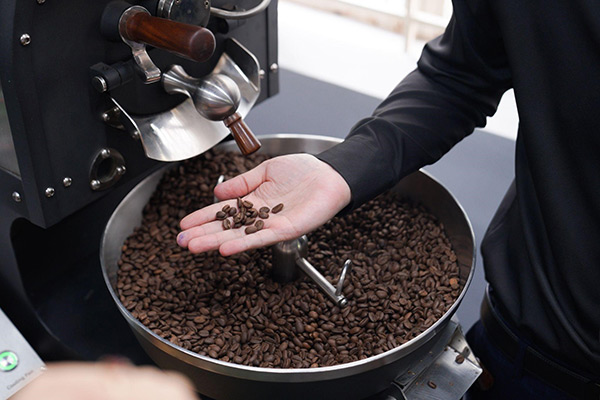 Chuyên gia cà phê có khả năng nhận định cảm quan các loại hạt cà phê theo mức độ rang.
