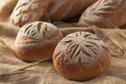 khoá học làm bánh mì
