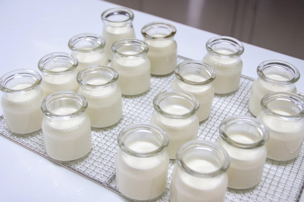 Làm sữa chua bằng nồi cơm điện
